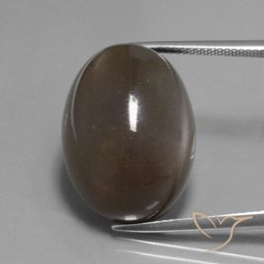 27.12ct Natürlicher Umbrabraun Mondstein, Oval, Lichtdurchlässig