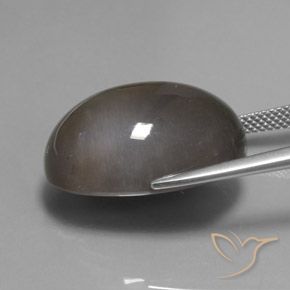 9,17 ctw natürlicher Umbrabraun Mondstein, Oval, Lichtdurchlässig