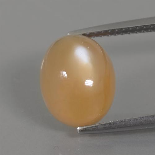 9,17 ctw natürlicher Goldene Orangencreme Mondstein, Oval Schliff, Transparent