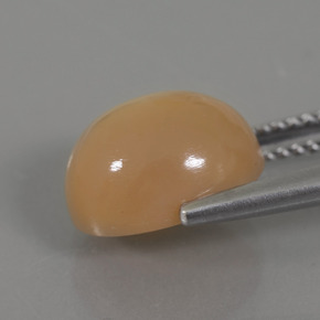 9,17 ctw natürlicher Goldene Orangencreme Mondstein, Oval Schliff, Transparent