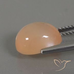 9,17 ctw natürlicher Mittel Orange-Gold Mondstein, Oval, Transparent