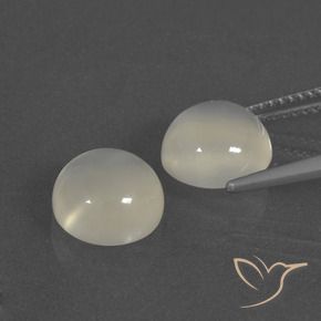 5.88 ct natürliche Warmweiß Mondstein-Edelsteine, Runden, Lichtdurchlässig