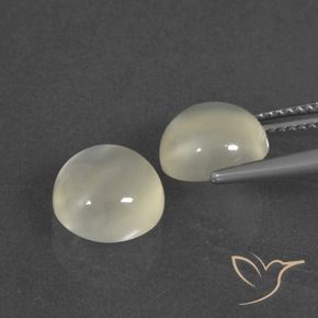5.91 ct natürliche Warmweiß Mondstein-Edelsteine, Runden, Lichtdurchlässig