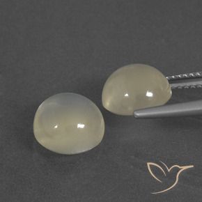 6.30 ct natürliche Warmweiß Mondstein-Edelsteine, Runden, Lichtdurchlässig
