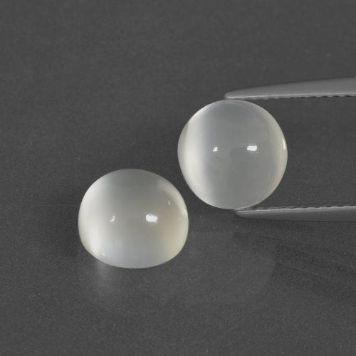 4.53 ct natürliche Warmweiß Mondstein-Edelsteine, Rund Schliff, Lichtdurchlässig
