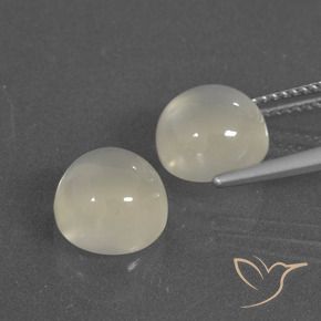 7.04 ct natürliche Warmweiß Mondstein-Edelsteine, Runden, Lichtdurchlässig