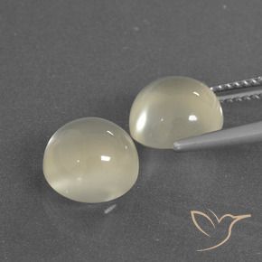 6.30 ct natürliche Warmweiß Mondstein-Edelsteine, Runden, Lichtdurchlässig