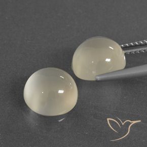 6.49 ct natürliche Warmweiß Mondstein-Edelsteine, Runden, Lichtdurchlässig