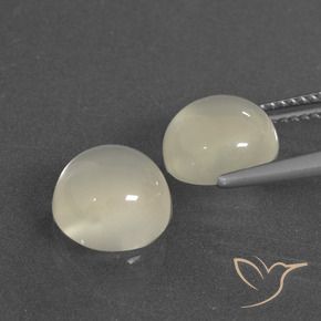 6.27 ct natürliche Warmweiß Mondstein-Edelsteine, Runden, Lichtdurchlässig