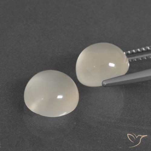 6.28 ct natürliche Warmweiß Mondstein-Edelsteine, Runden, Lichtdurchlässig