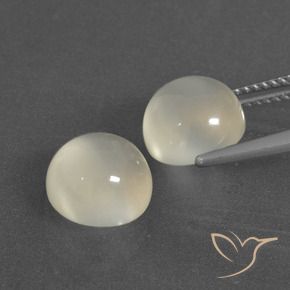 6.91 ct natürliche Warmweiß Mondstein-Edelsteine, Runden, Lichtdurchlässig