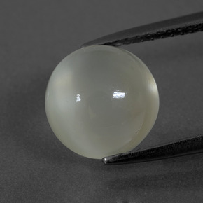 9,17 ctw natürlicher Warmweiß Mondstein, Rund Schliff, Lichtdurchlässig