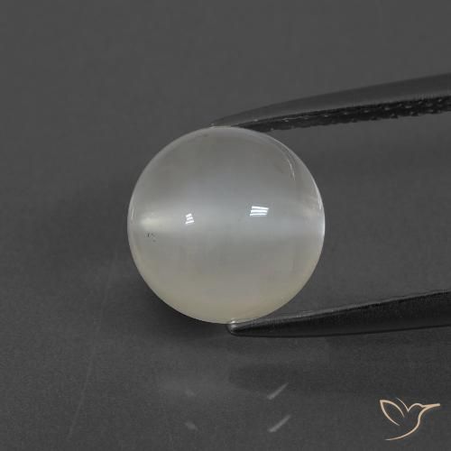 2.43ct Natürlicher Warmweiß Mondstein, Runden, Lichtdurchlässig