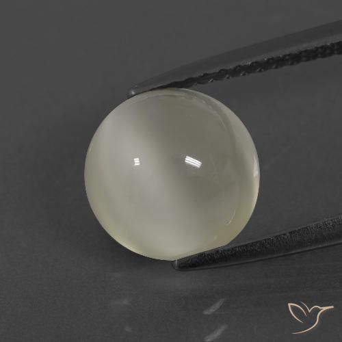 2.84ct Natürlicher Warmweiß Mondstein, Runden, Lichtdurchlässig