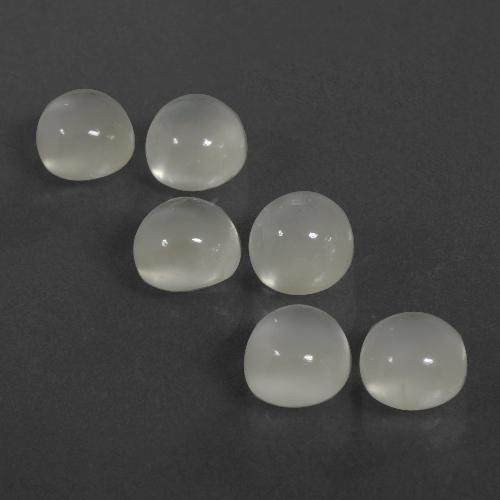 7,26 ct natürliche weißer Mondstein-Edelsteine, Rundschliff, Lichtdurchlässig
