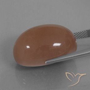 9,17 ctw natürlicher Braun Mondstein, Oval, Lichtundurchlässig