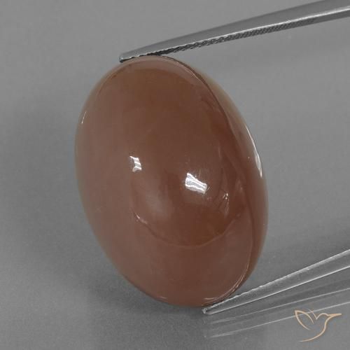 44.24ct Natürlicher Warmes Braun Mondstein, Oval, Lichtundurchlässig
