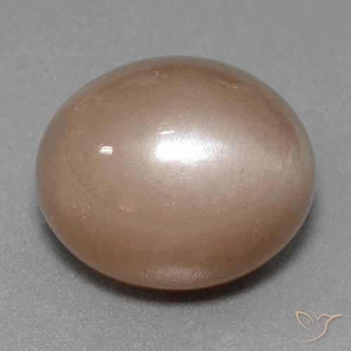 9,17 ctw natürlicher Neutrales Braun Mondstein, Oval, Lichtundurchlässig