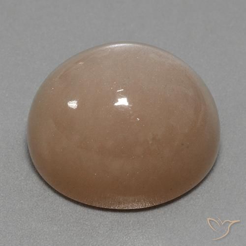 9,17 ctw natürlicher Neutrales Braun Mondstein, Oval, Lichtundurchlässig