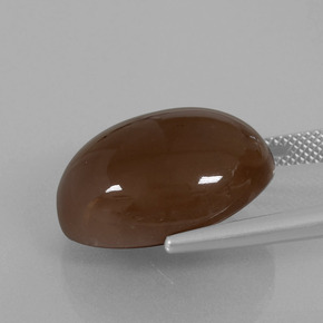 9,17 ctw natürlicher Schokoladenbraun Mondstein, Oval Schliff, Lichtundurchlässig
