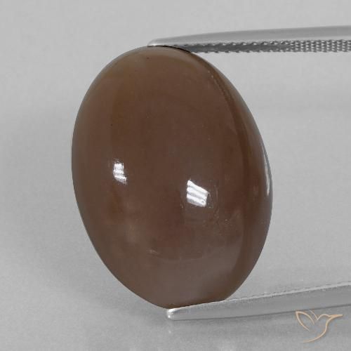 22.40ct Natürlicher Mittel braun Mondstein, Oval, Lichtundurchlässig