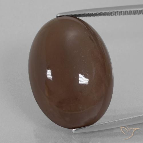 28.02ct Natürlicher Schokoladenbraun Mondstein, Oval, Lichtundurchlässig