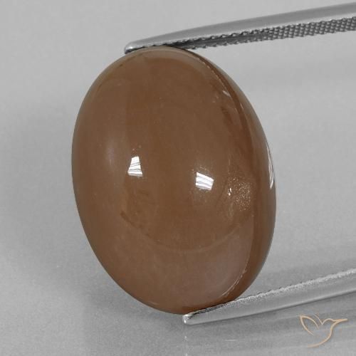 29.70ct Natürlicher Warmes Braun Mondstein, Oval, Lichtundurchlässig