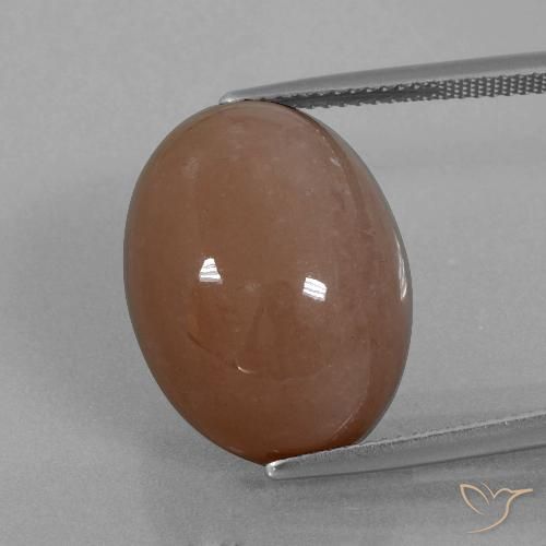 21.86ct Natürlicher Braun Mondstein, Oval, Lichtundurchlässig