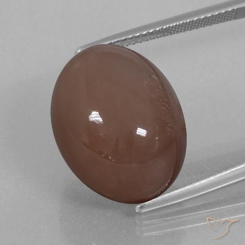 25.76ct Natürlicher Espresso Braun Mondstein, Oval, Lichtundurchlässig
