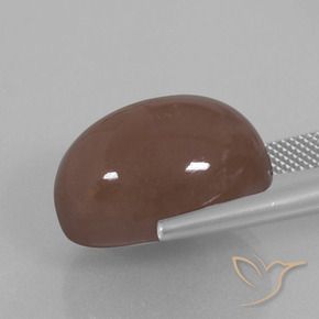 9,17 ctw natürlicher Espresso Braun Mondstein, Oval, Lichtundurchlässig