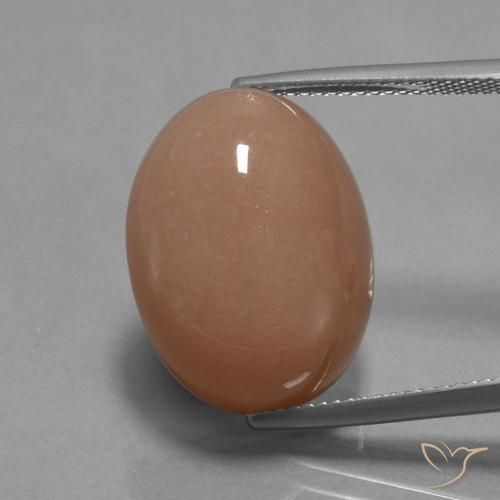 18.19ct Natürlicher Apfelwein Mondstein, Oval, Lichtundurchlässig