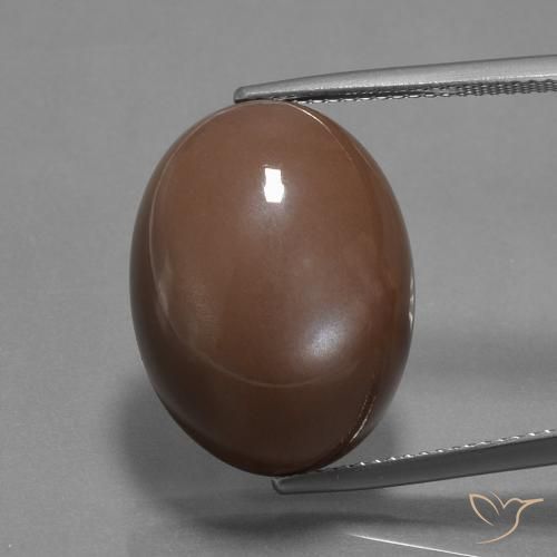 20.43ct Natürlicher Mittel braun Mondstein, Oval, Lichtundurchlässig