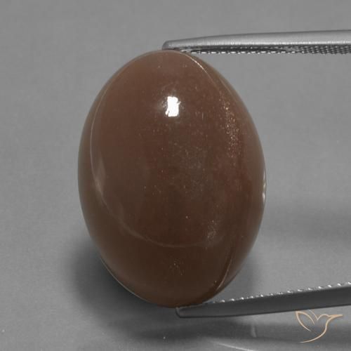 22.67ct Natürlicher Mittel braun Mondstein, Oval, Lichtundurchlässig