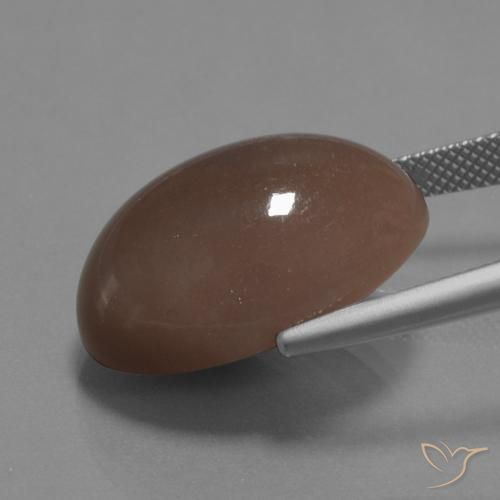 9,17 ctw natürlicher Mittel braun Mondstein, Oval, Lichtundurchlässig