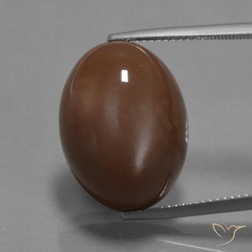 22.27ct Natürlicher Mittel braun Mondstein, Oval, Lichtundurchlässig