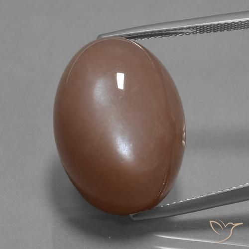 30.59ct Natürlicher Mittel braun Mondstein, Oval, Lichtundurchlässig