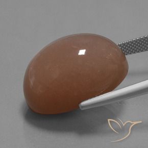 9,17 ctw natürlicher Mittel braun Mondstein, Oval, Lichtundurchlässig
