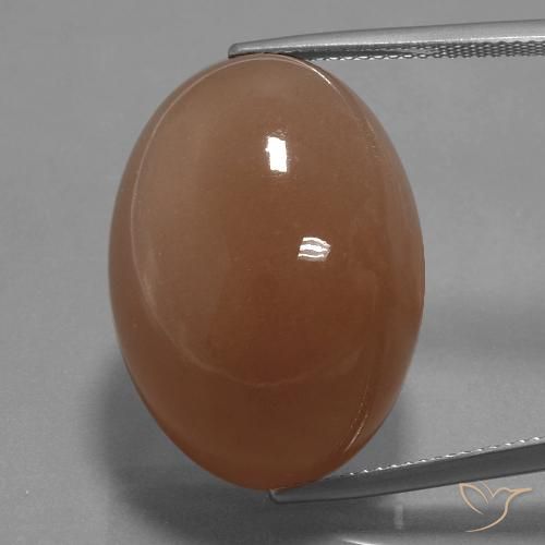 44.65ct Natürlicher Warmes Braun Mondstein, Oval, Lichtundurchlässig, Photo A