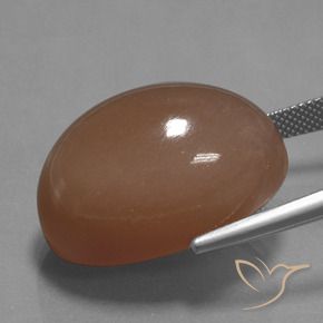 9,17 ctw natürlicher Warmes Braun Mondstein, Oval Schliff, Lichtundurchlässig