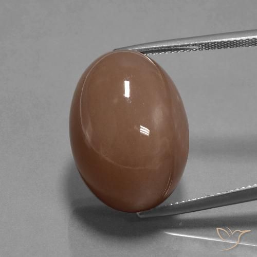 35.65ct Natürlicher Mittel braun Mondstein, Oval, Lichtundurchlässig