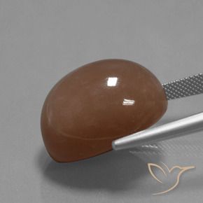 9,17 ctw natürlicher Mittel braun Mondstein, Oval, Lichtundurchlässig