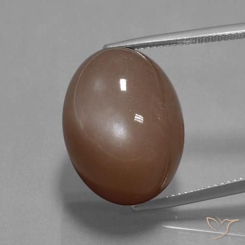 34.59ct Natürlicher Mittel braun Mondstein, Oval, Lichtundurchlässig