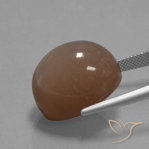 9,17 ctw natürlicher Mittel braun Mondstein, Oval, Lichtundurchlässig