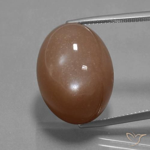32.77ct Natürlicher Warmes Braun Mondstein, Oval, Lichtundurchlässig
