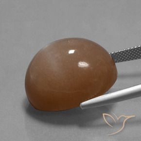 9,17 ctw natürlicher Warmes Braun Mondstein, Oval, Lichtundurchlässig