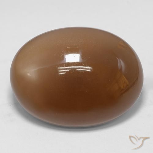 9,17 ctw natürlicher gold-braun Mondstein, Oval, Lichtdurchlässig
