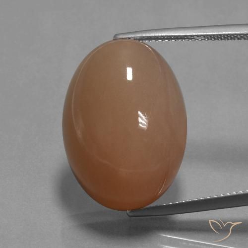 27.10ct Natürlicher bräunlicher Pfirsich Mondstein, Oval, Lichtundurchlässig