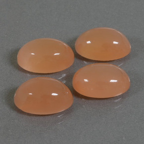 14,46 ct natürliche orangefarbener Mondstein-Edelsteine, Oval Schliff, Lichtdurchlässig
