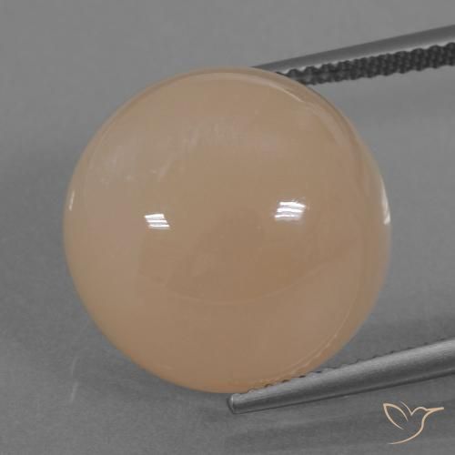 19.74ct Natürlicher hellorange Mondstein, Runden, Lichtdurchlässig
