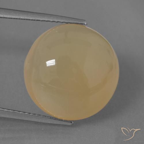 14.62ct Natürlicher Helles Pfirsichgold Mondstein, Runden, Lichtdurchlässig